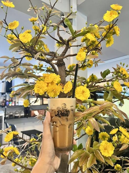 Râu Coffee — photo 4