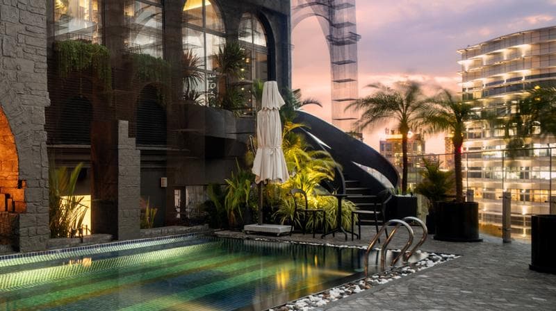 The Palm