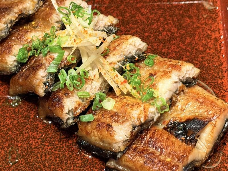 Unagi Station — photo 8