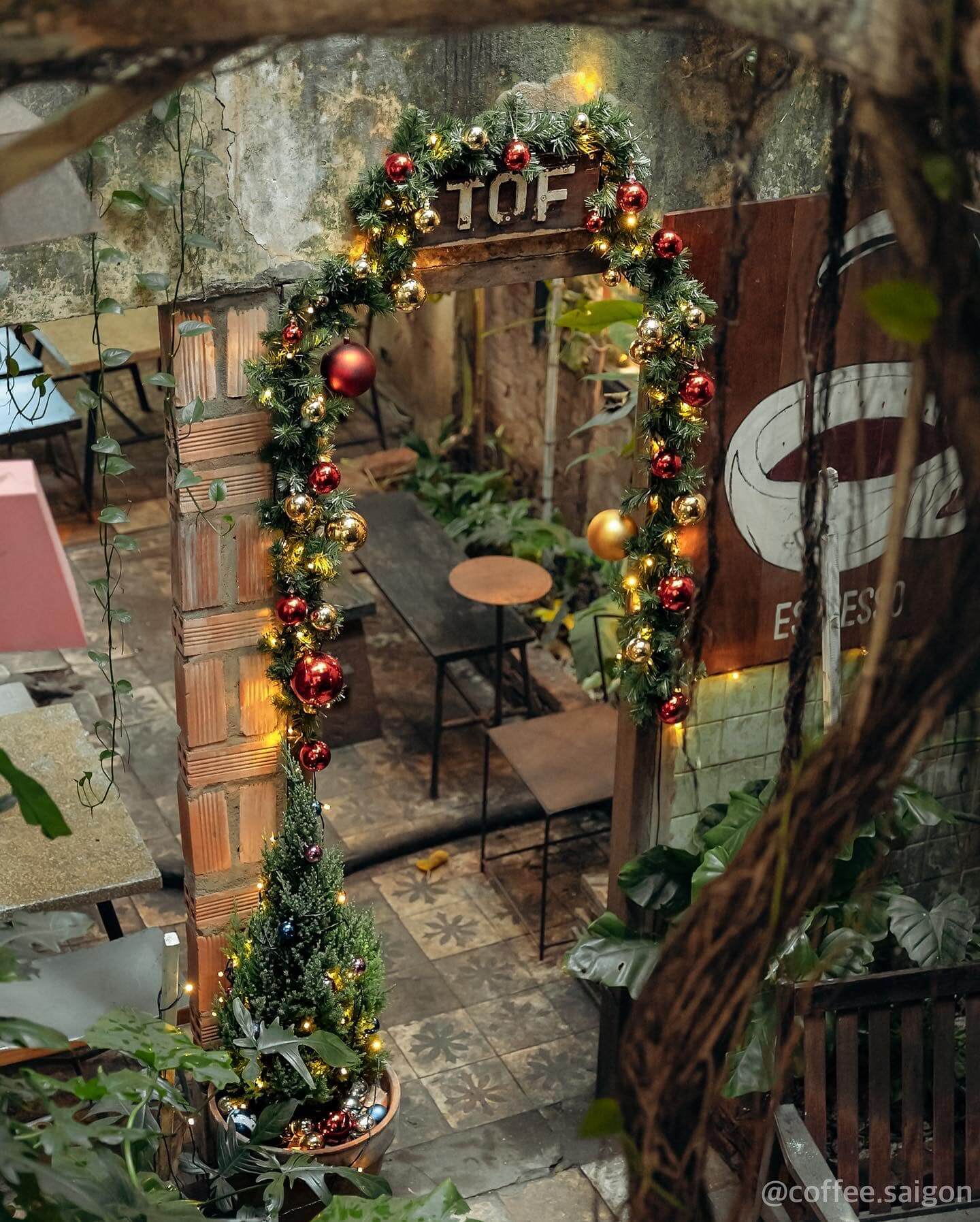 The garlanded doorway at Barista Collective
