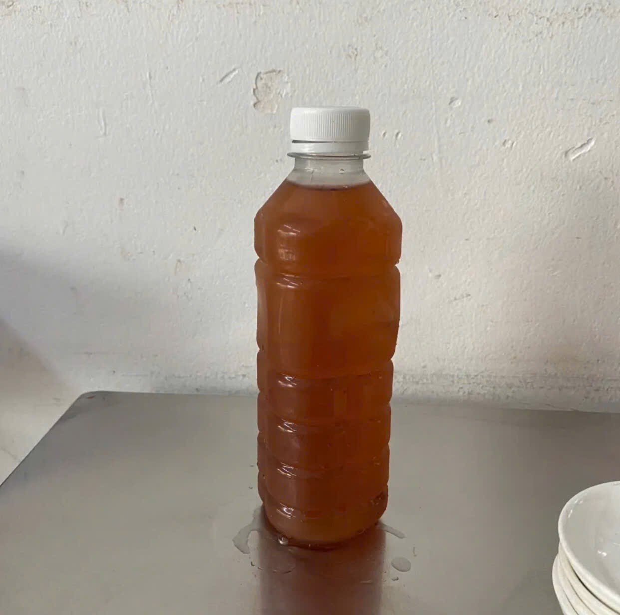 The Cô Dung ốc bươu with ginger fish sauce (pending the venue photo pass)