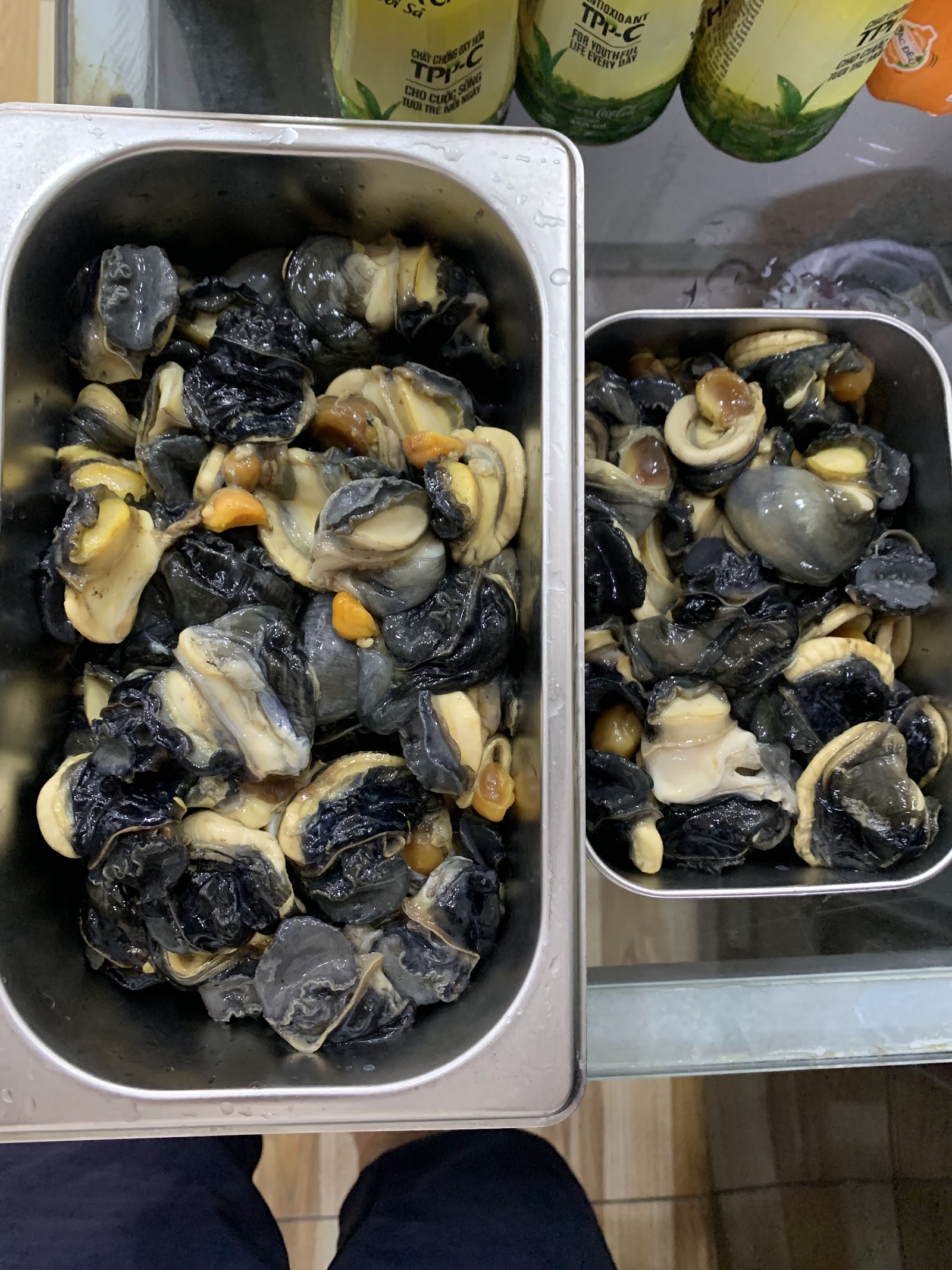 분리에우 하노이 스어의 아늑한 저녁 분위기 (사진 촬영 대기 중)