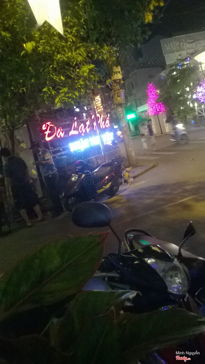 쯔엉선 거리에서 본 빨간 'Da Lat Pho' 네온 간판