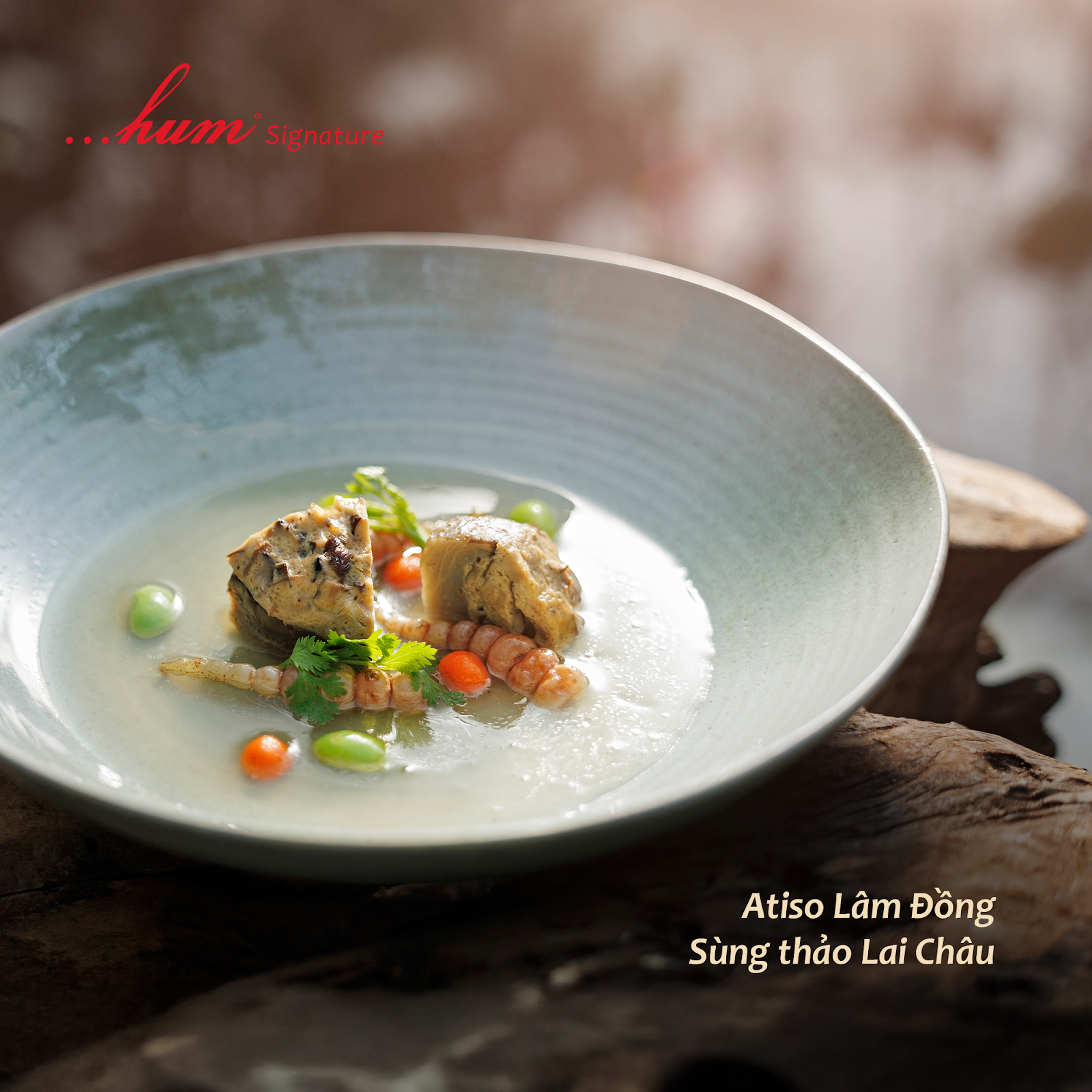 Bông atiso nguyên búp — atiso Lâm Đồng, chụp cận trên nền tối