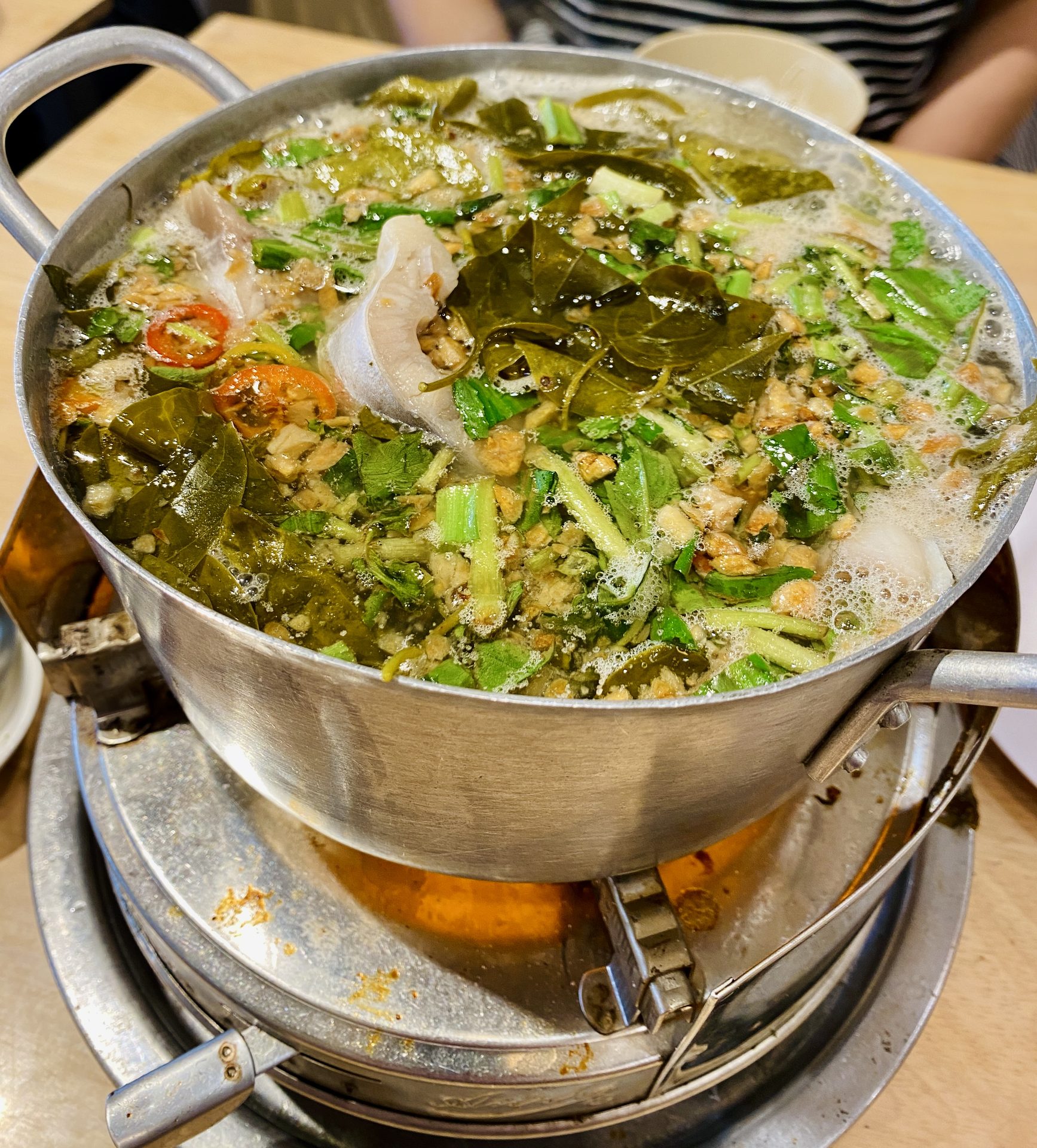 The simmering broth pot