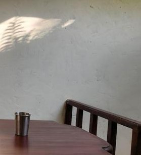 Nắng ban ngày rải qua tán cây trong sân Cam Tần