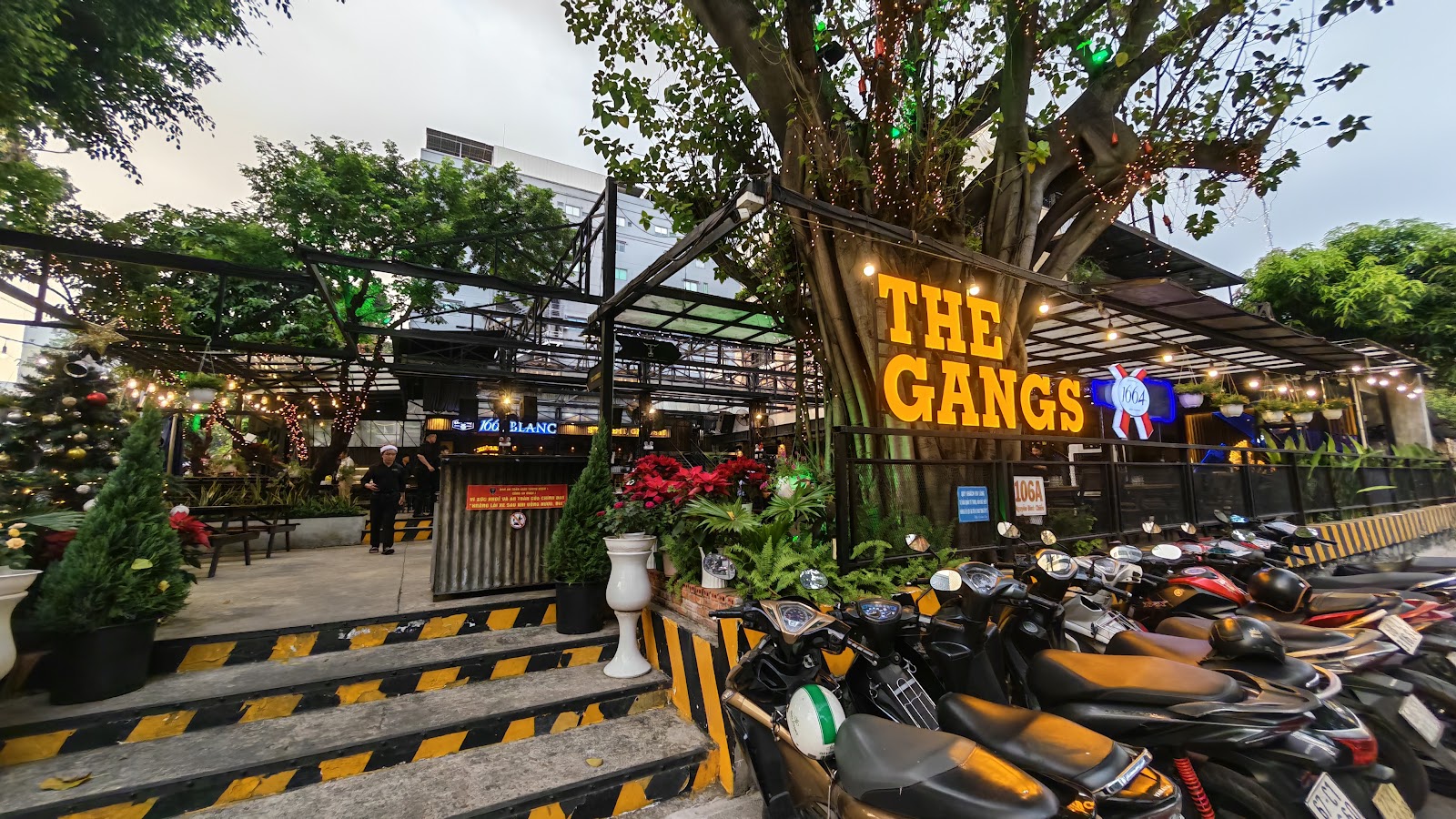 밤의 앰버 간판과 The Gangs 입구