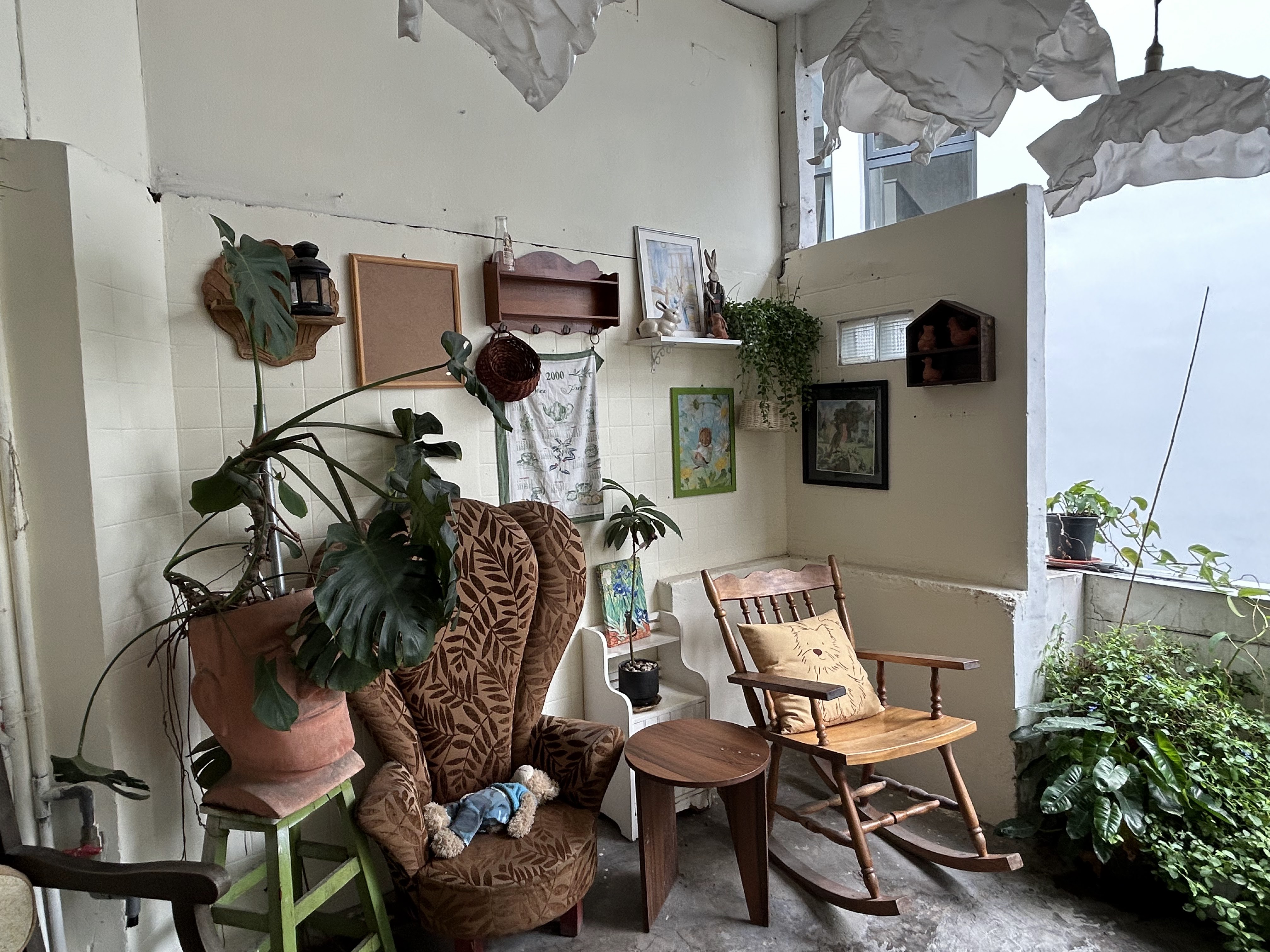 Rocking chair among monstera plants