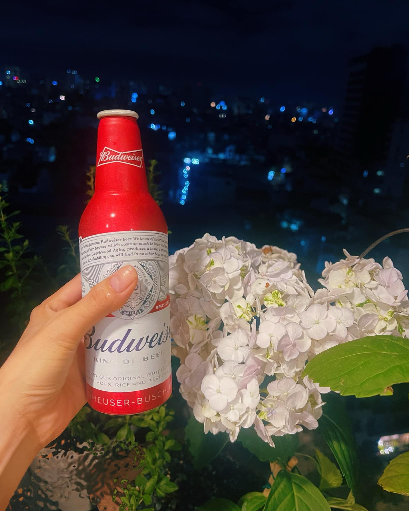 A beer bottle against city night lights
