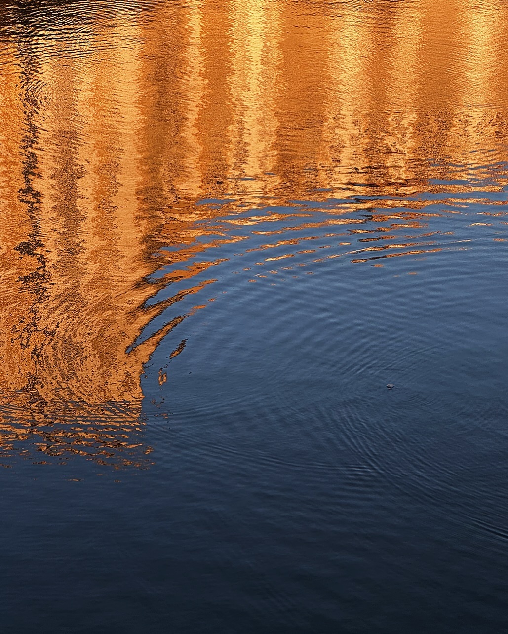 Canal water reflecting the lights